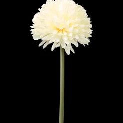 Chrysanthème boule sur tige The Hamptons Collections HOME | Action FR