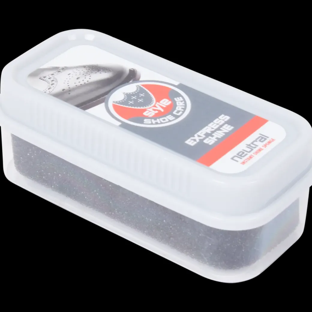 Éponge lustrante instantanée Sans couleurs | Action FR